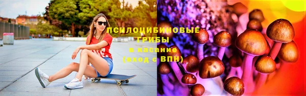 твердый Верхний Тагил