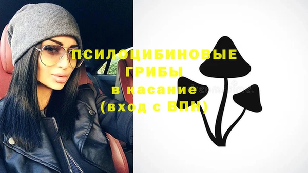 круглые Бронницы