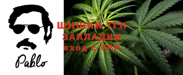 твердый Верхний Тагил