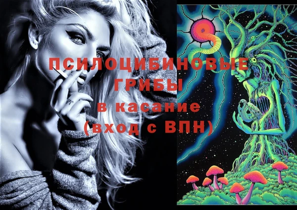 твердый Верхний Тагил